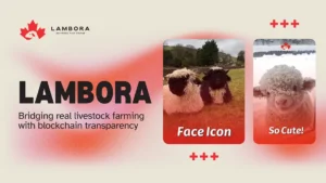 Lambora joins Sixpack Miner