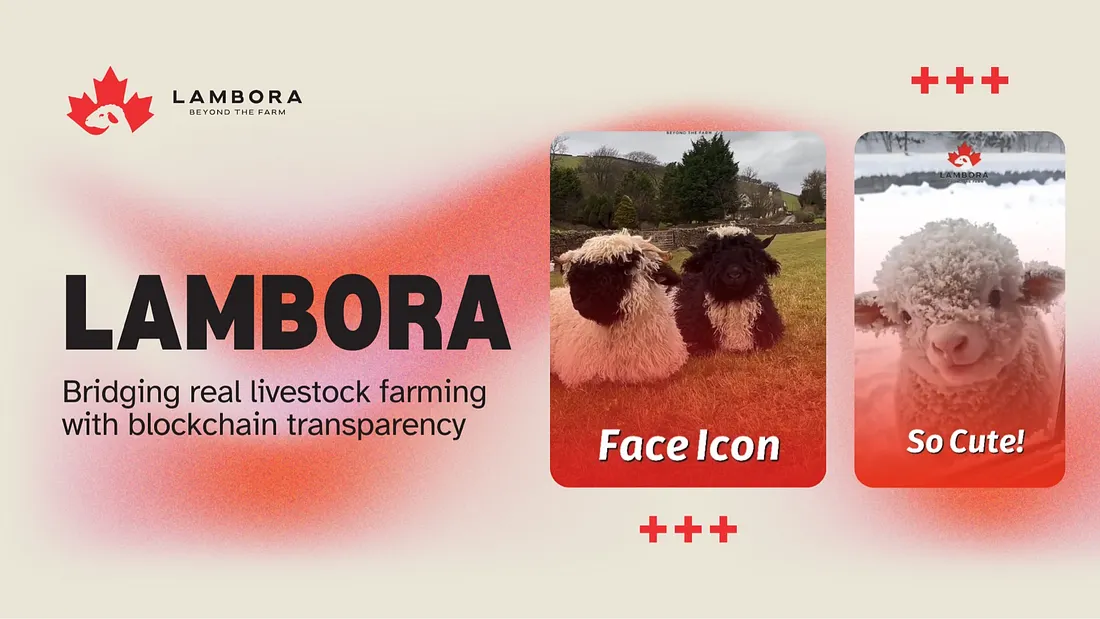 Lambora joins Sixpack Miner