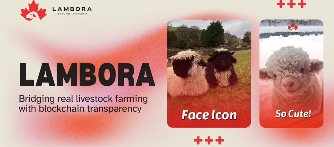 Lambora joins Sixpack Miner